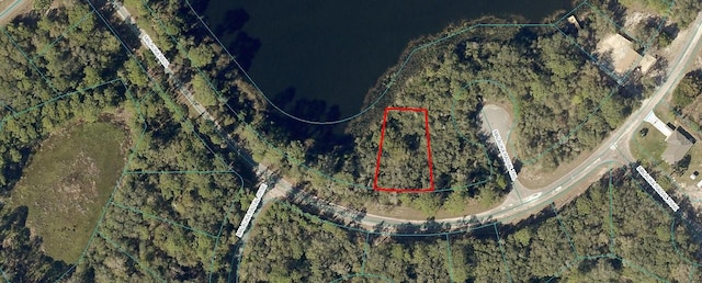 TBDLOT60 Malauka Radl, Ocklawaha, FL 32179