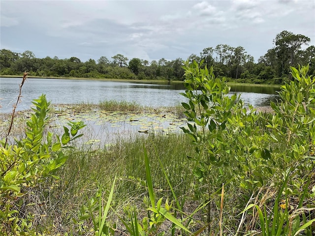 TBDLOT58 Malauka Radial Trl, Ocklawaha, FL 32179