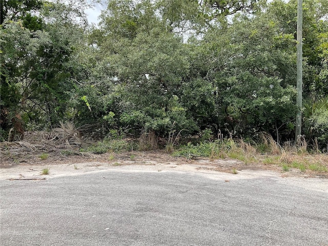 TBDLOT58 Malauka Radial Trl, Ocklawaha, FL 32179
