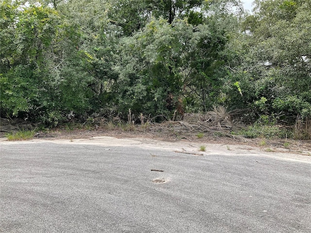 TBDLOT58 Malauka Radial Trl, Ocklawaha, FL 32179