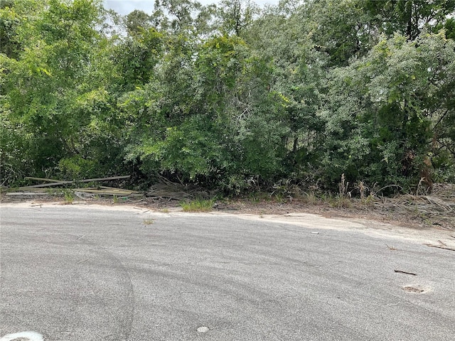 TBDLOT58 Malauka Radial Trl, Ocklawaha, FL 32179