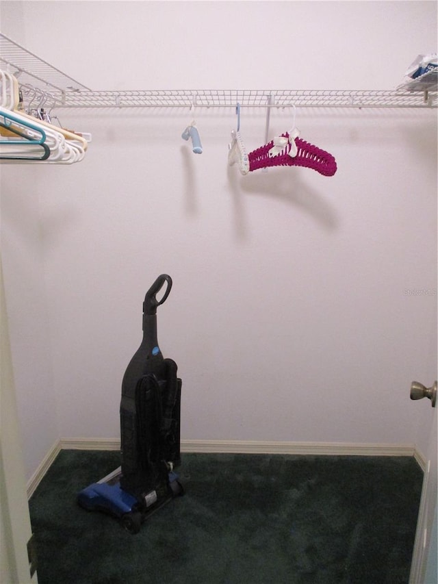 14695 SW 112th Cir, Dunnellon, FL 34432 - view of spacious closet