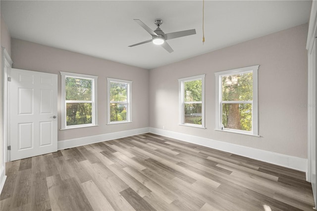 4609 NE 7th St, Ocala, FL 34470 - empty room featuring healthy amount of natural light, a ceiling fan, and light wood-style floors