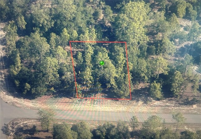 2881 W Huron Ln, Dunnellon, FL 34433