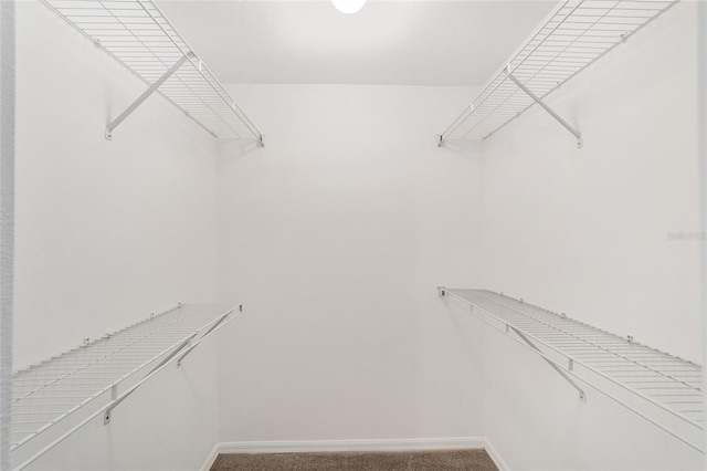 16605 SW 31st Cir, Ocala, FL 34473 - walk in closet featuring carpet flooring