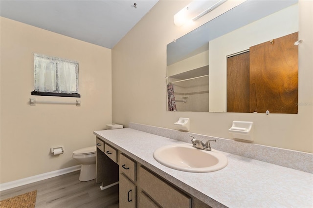 10012 SW 88th Ct, Ocala, FL 34481 - full bathroom featuring vanity, toilet, wood finished floors, baseboards, and curtained shower