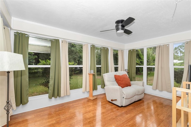 10806 SW 86th Ave, Ocala, FL 34481 - sunroom featuring plenty of natural light and wood finished floors