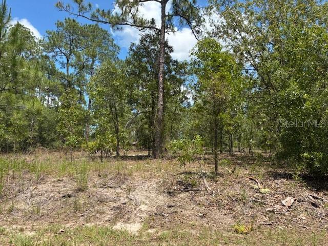 TBD SW Southview Ct, Dunnellon, FL 34431