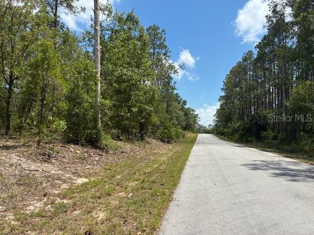 TBD SW Southview Ct, Dunnellon, FL 34431
