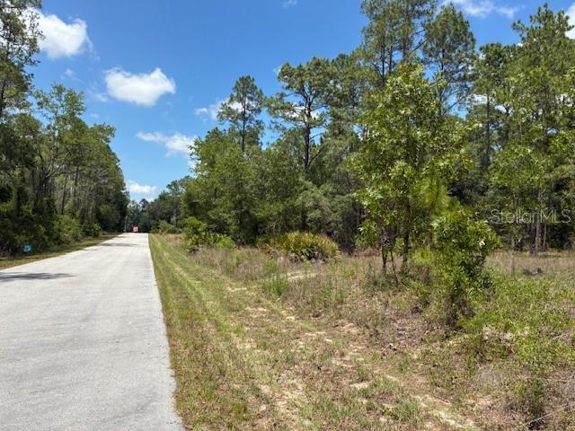 TBD SW Southview Ct, Dunnellon, FL 34431