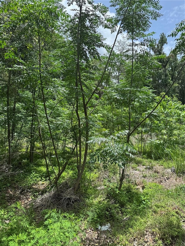 00 SE 61st Ct, Summerfield, FL 34491