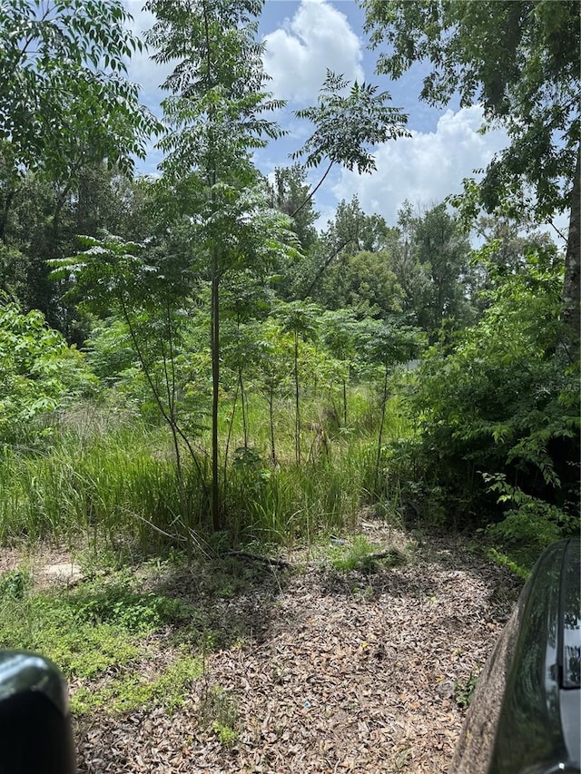00 SE 61st Ct, Summerfield, FL 34491
