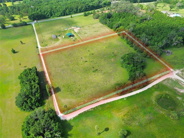 TBD NW 47th Ct, Citra, FL 32113 - photo 4
