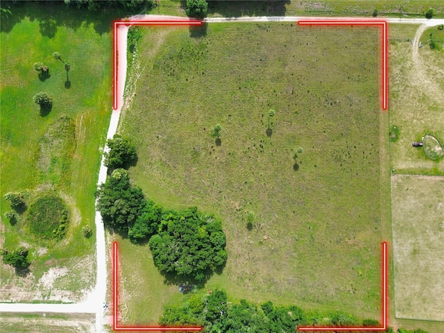 TBD NW 47th Ct, Citra, FL 32113 - photo 3