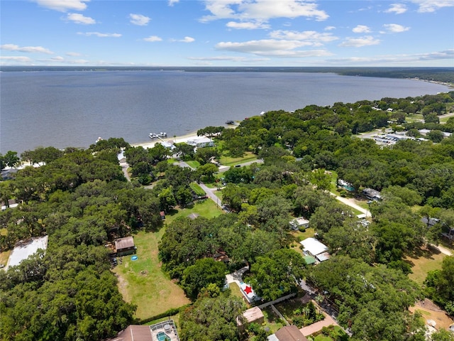 12335 SE 130th Ct, Ocklawaha, FL 32179 - view of property location featuring a large body of water