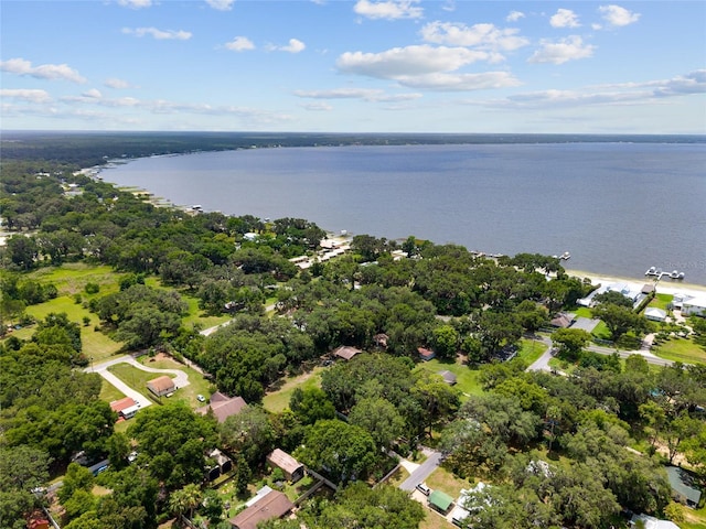12335 SE 130th Ct, Ocklawaha, FL 32179 - aerial overview of property's location with a large body of water