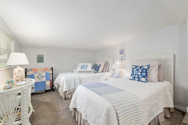 12335 SE 130th Ct, Ocklawaha, FL 32179 - bedroom featuring carpet floors