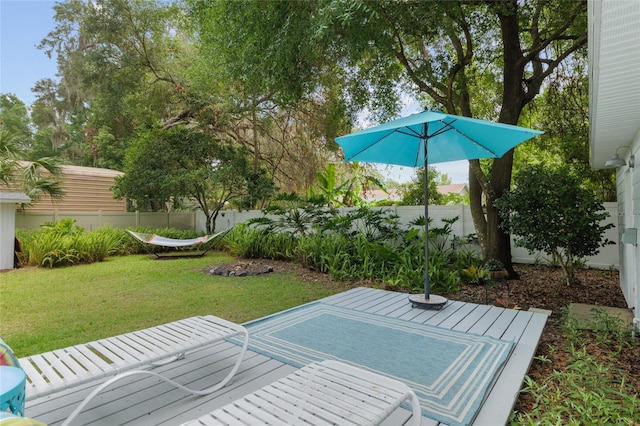 12335 SE 130th Ct, Ocklawaha, FL 32179 - view of yard
