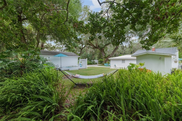 12335 SE 130th Ct, Ocklawaha, FL 32179 - view of yard