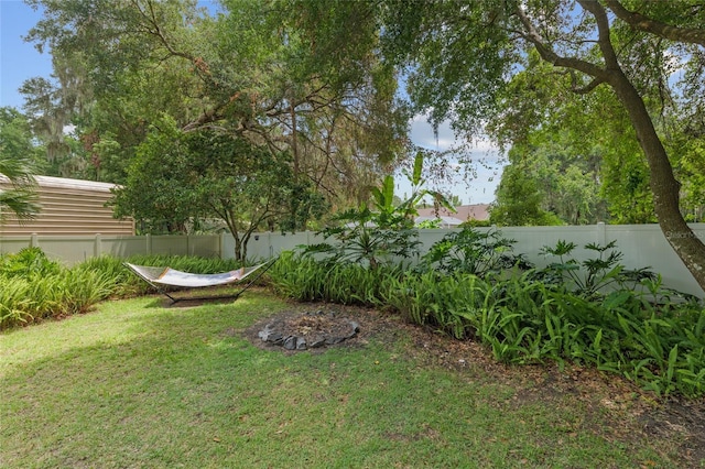12335 SE 130th Ct, Ocklawaha, FL 32179 - view of yard