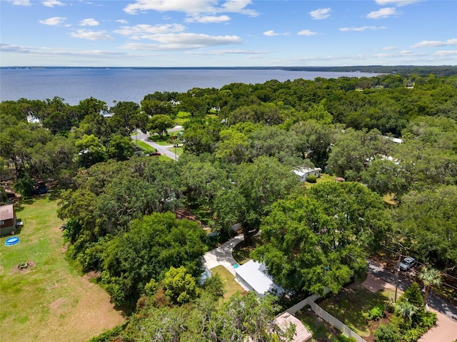 12335 SE 130th Ct, Ocklawaha, FL 32179 - aerial view of a large body of water and a heavily wooded area
