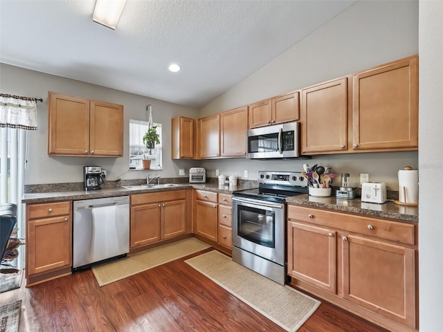 11 Pecan Course Loop, Ocala, FL 34472 - kitchen featuring stainless steel appliances, vaulted ceiling, dark countertops, a sink, and dark wood finished floors
