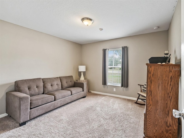 11 Pecan Course Loop, Ocala, FL 34472 - carpeted living area featuring baseboards and a textured ceiling