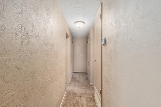 3621 SE 12th Pl, Ocala, FL 34471 - hallway with light carpet, a textured wall, a textured ceiling, and baseboards