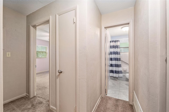 3621 SE 12th Pl, Ocala, FL 34471 - corridor with carpet floors, a textured wall, and a textured ceiling