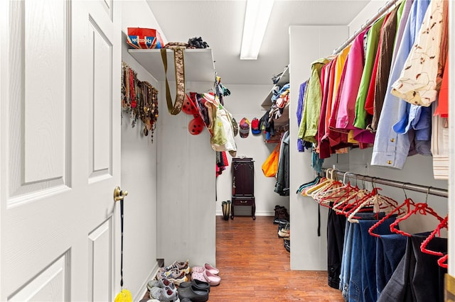 5445 NE Anthony Rd, Ocala, FL 34475 - walk in closet featuring wood finished floors