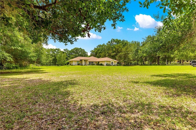 5445 NE Anthony Rd, Ocala, FL 34475 - view of grassy yard with a view of trees