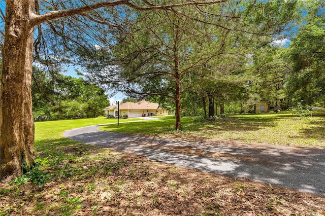 5445 NE Anthony Rd, Ocala, FL 34475 - view of grassy yard with asphalt driveway and an attached garage