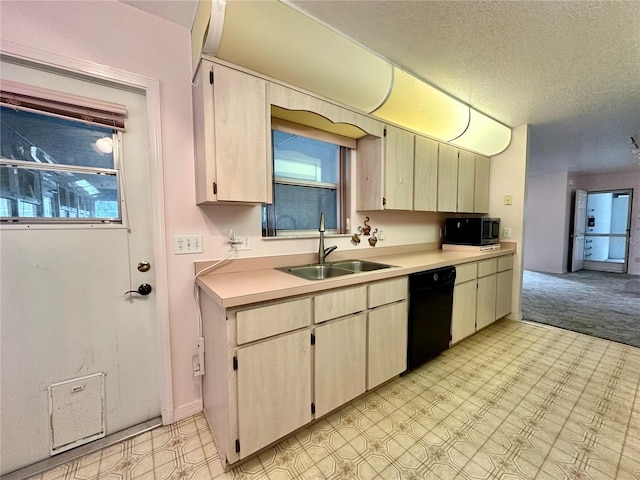 2020 W Snowy Egret Pl, Citrus Springs, FL 34434 - kitchen featuring black dishwasher, a sink, light countertops, a textured ceiling, and light carpet