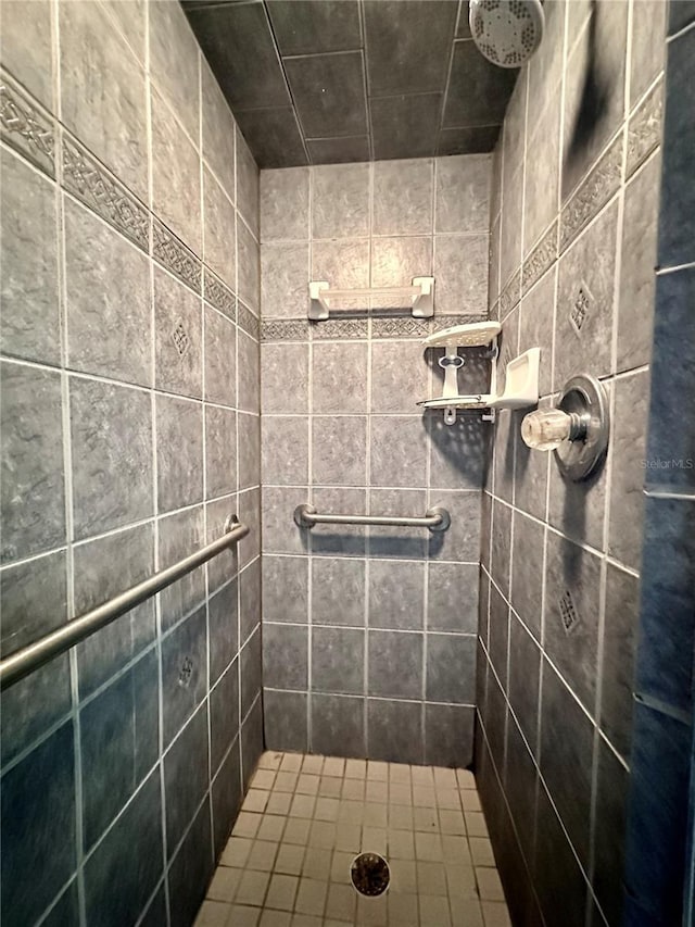 2020 W Snowy Egret Pl, Citrus Springs, FL 34434 - full bath featuring tiled shower