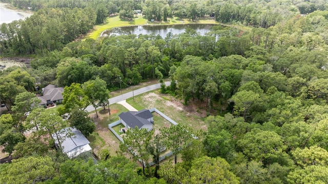 5063 SE 168th Ter, Ocklawaha, FL 32179 - aerial overview of property's location featuring a nearby body of water and a heavily wooded area