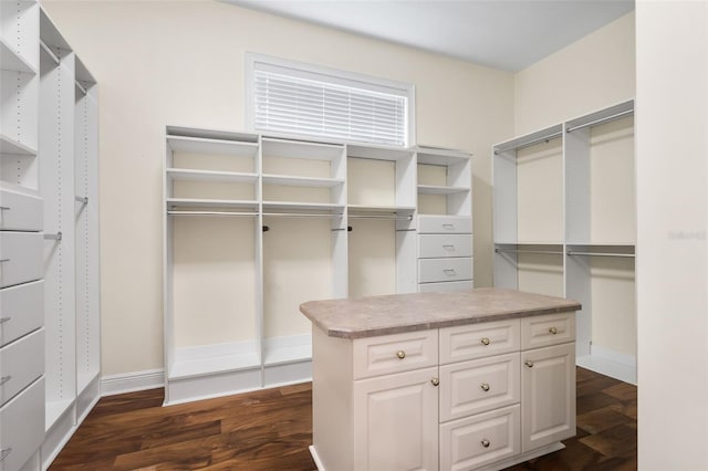 659 NW 155th Way, Newberry, FL 32669 - walk in closet with dark wood-style flooring