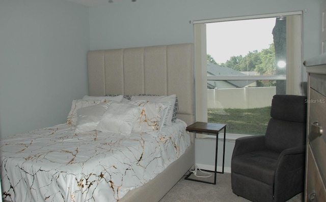 14126 Greater Pines Blvd, Clermont, FL 34711 - view of carpeted bedroom
