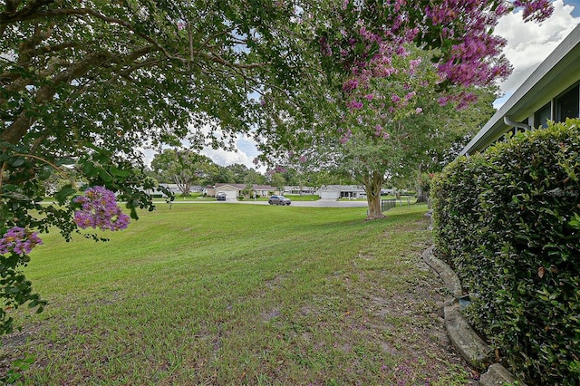 10699 SE 178th St, Summerfield, FL 34491 - view of green lawn