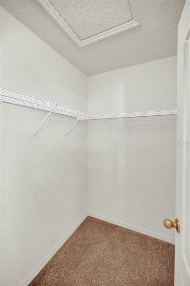 9952 SW 58th Ave, Ocala, FL 34476 - photo 26