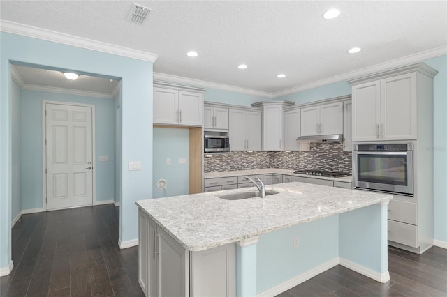 9805 SW 95th Loop, Ocala, FL 34481 - kitchen with appliances with stainless steel finishes, under cabinet range hood, a sink, a center island with sink, and decorative backsplash