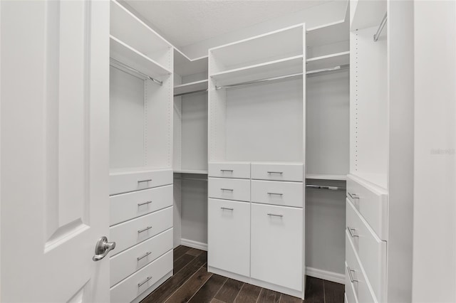 9805 SW 95th Loop, Ocala, FL 34481 - walk in closet with dark wood-style floors