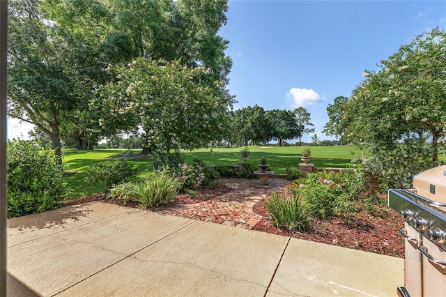 9805 SW 95th Loop, Ocala, FL 34481 - view of patio / terrace