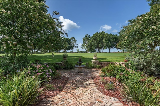 9805 SW 95th Loop, Ocala, FL 34481 - surrounding community with a lawn