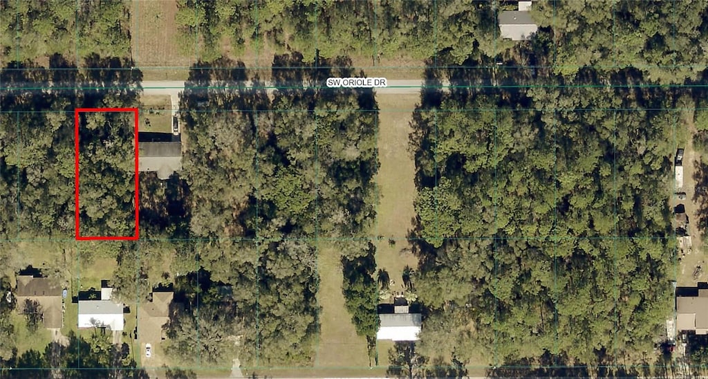 TBD SW Oriole Dr, Dunnellon, FL 34431
