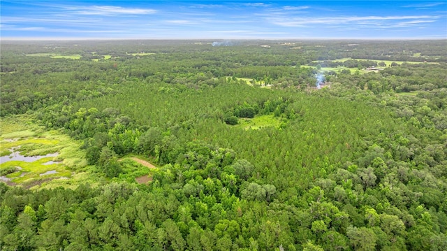 TBD NW 160th St, Reddick, FL 32686