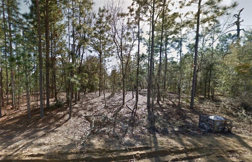 00 2nd St, Interlachen, FL 32148