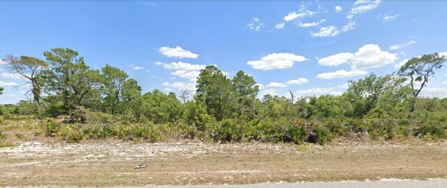 415 Hallmark Ave, Lake Placid, FL 33852 - photo 2