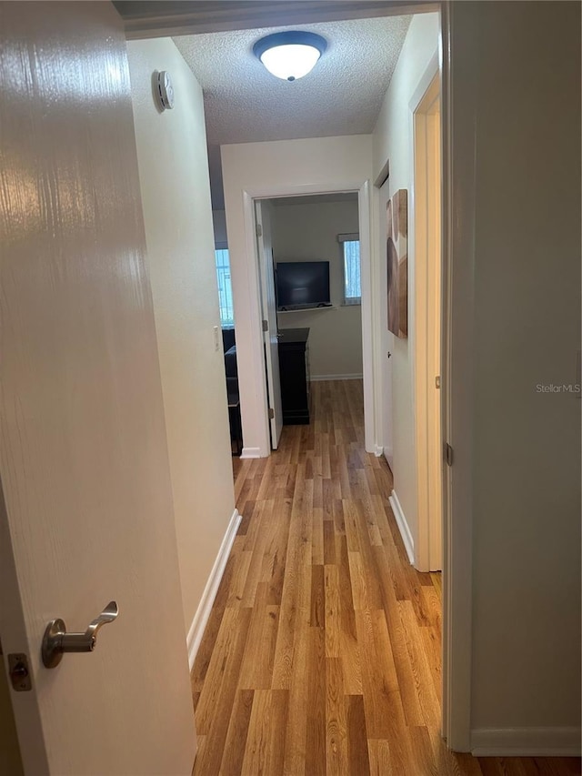9255 SW 90th Ct Unit B, Ocala, FL 34481 - hallway with light wood finished floors, baseboards, and a textured ceiling