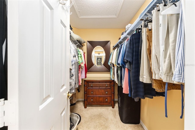 8554 SW 63rd Ct, Ocala, FL 34476 - spacious closet featuring attic access and carpet