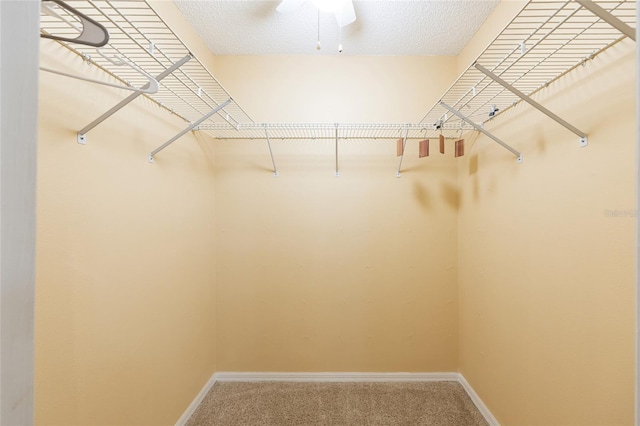 8554 SW 63rd Ct, Ocala, FL 34476 - walk in closet featuring carpet floors and a ceiling fan
